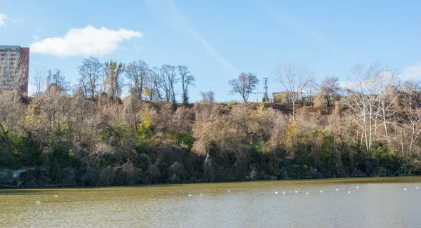 Port of Cleveland completes Irishtown Bend stabilization, clearing path for riverfront park and trail construction